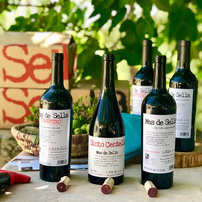 Enoturismo Mas de Sella cata de vinos en la viña