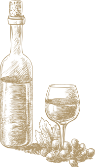 Visita Bodega Mas de Sella