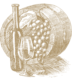 Visita bodega y finca Mas de Sella