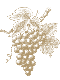 Visita finca Mas de Sella